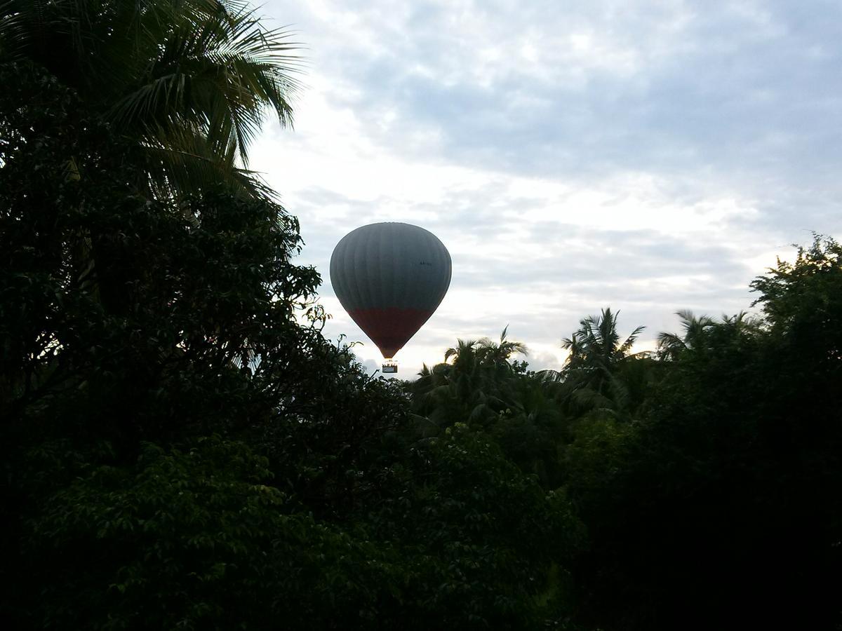 Green Earth Resort And Restaurant Dambulla Exterior photo